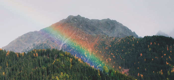 You are currently viewing Genesis 39:5 Joseph’s Coat Of Many Colors