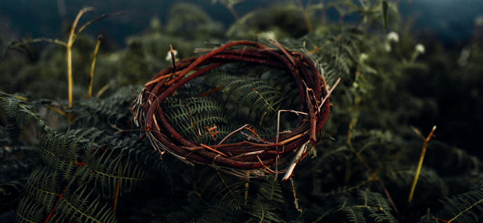 You are currently viewing The Meaning of Christ’s Crown of Thorns