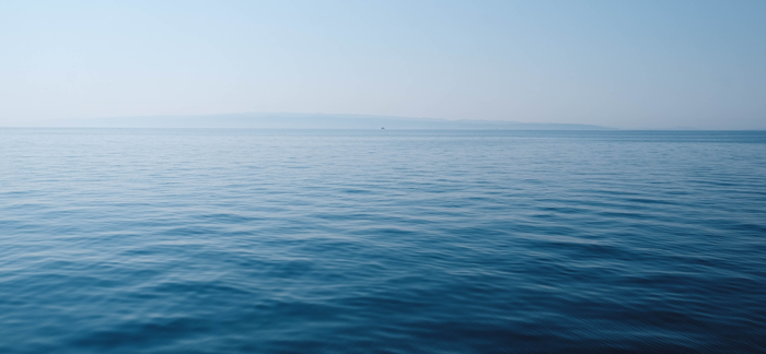 Read more about the article One Life Under God