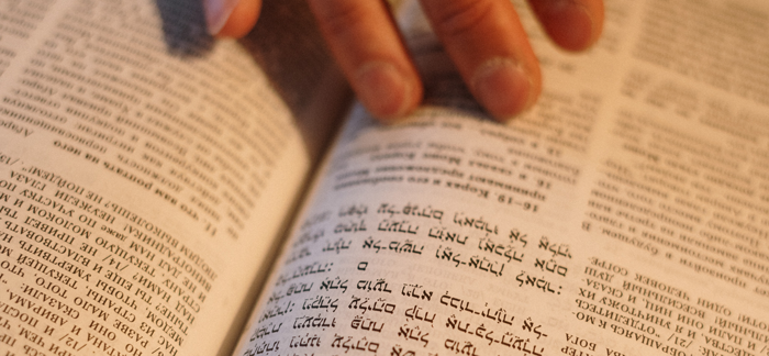You are currently viewing What Is The Torah in the Old Testament